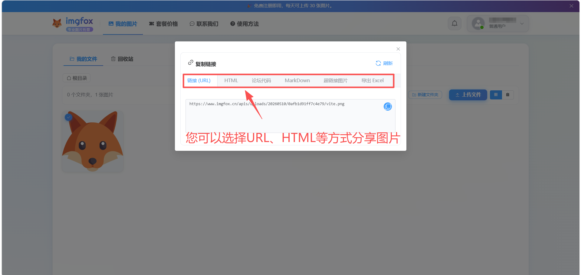 ImgFox 获取链接面板中的 URL、HTML、论坛代码和 Markdown 选项