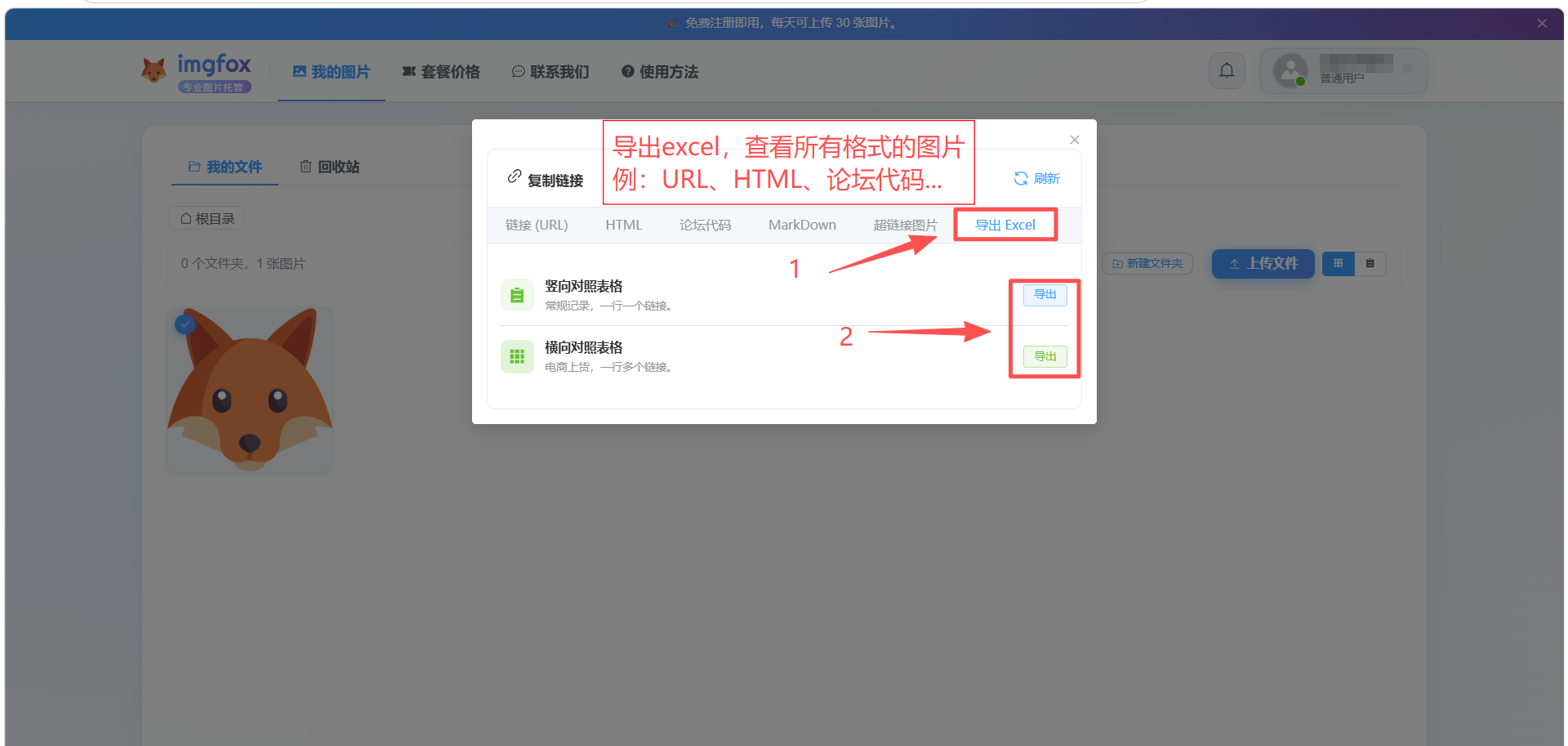 ImgFox 图床导出 Excel 界面，可选择横向或竖向布局